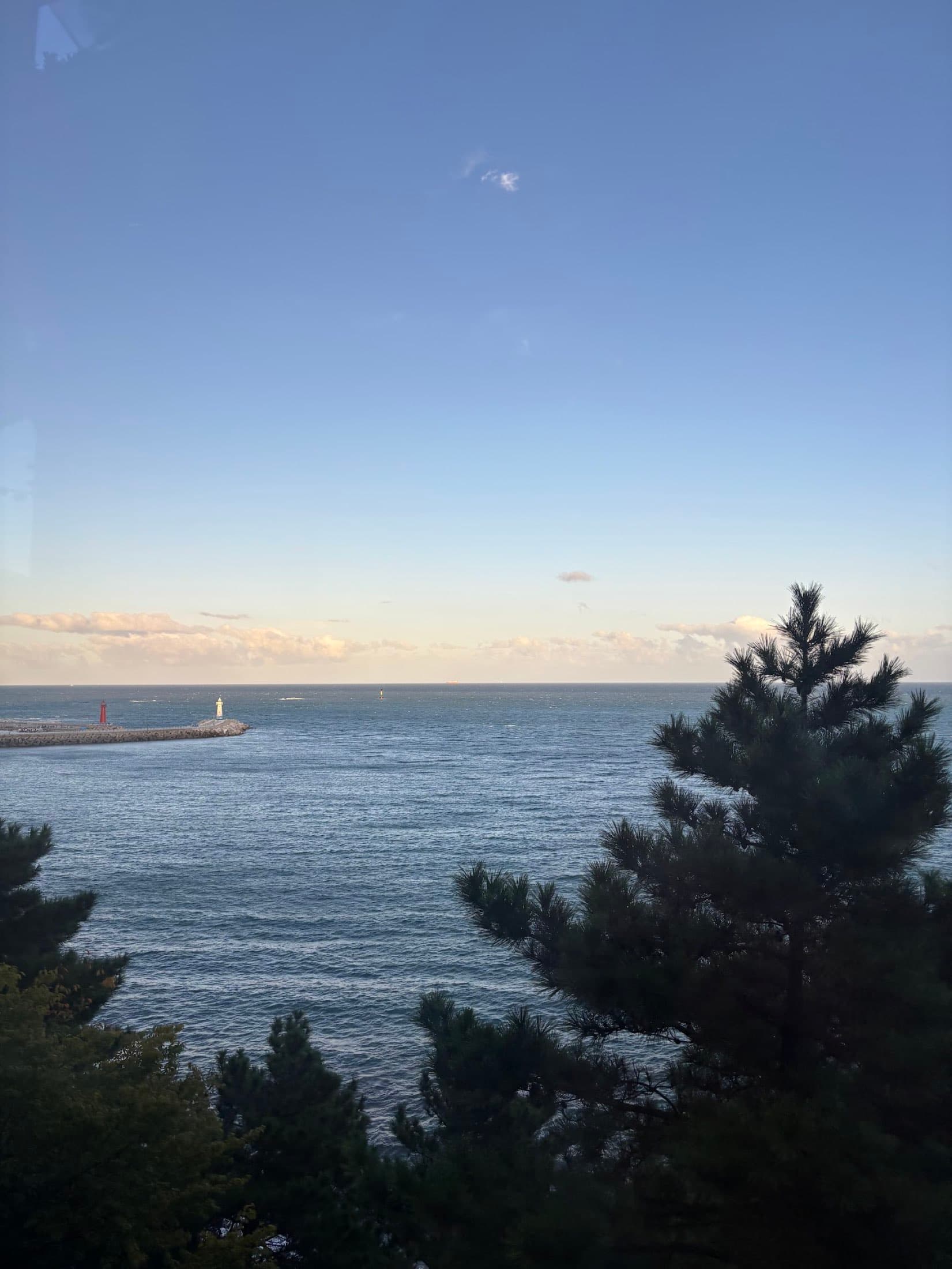 Salt Air and Mountains: Three Days in Busan